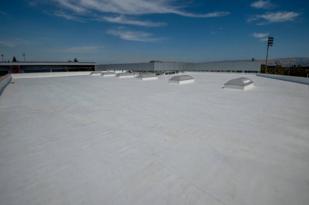 Best Roof Coating and Sealing  in Chicago Heights, IL